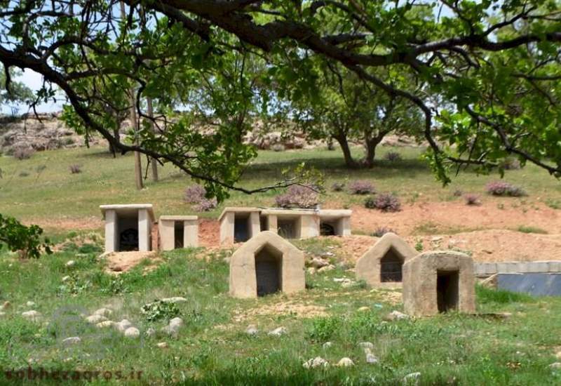 واکنش جمالی به قبرستان‌های طایفه‌ای؛ مسائل سنتی که با سلامت مردم مغایرت دارند، جمع شوند