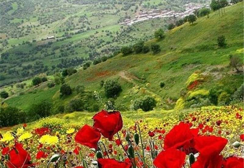 جشن بزرگ فرهنگ و هنر مردم شهرستان باشت برگزار می شود