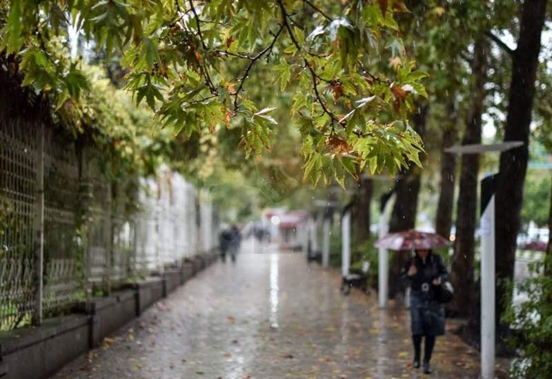 بارش باران و برف تا آخر هفته در شمال و جنوب/ هوا ۹ درجه سرد می‌شود