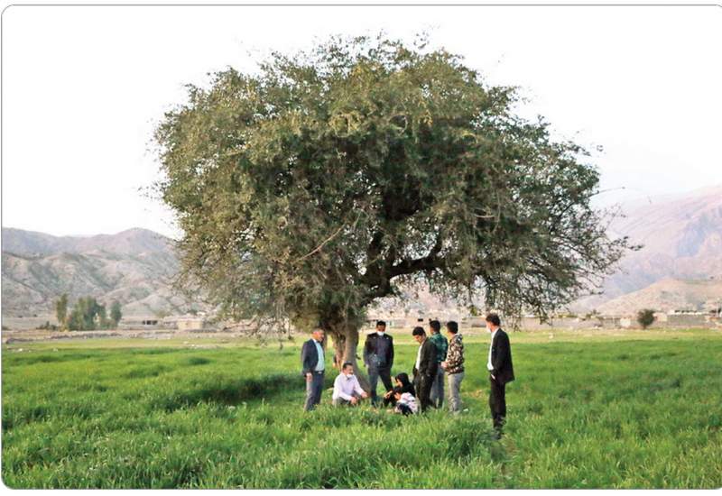 آخرین وضعیت روستای مال‌ملا لنده دو سال پس از سقوط بورس؛ می‌خواهم قلبم را یک میلیارد تومان بفروشم!