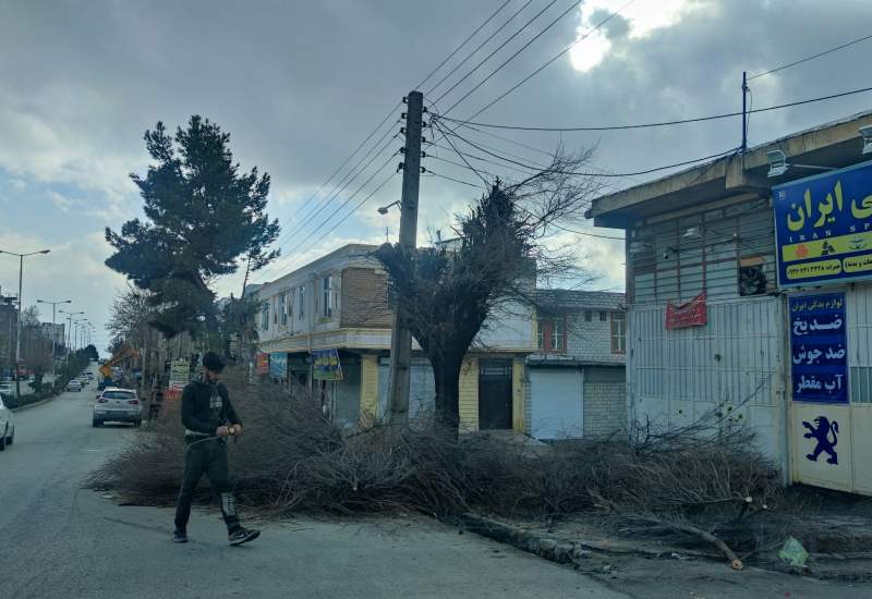 کمر درختان یاسوج در مقابل کم‌کاری دستگاه‌های خدمان رسان خم شد