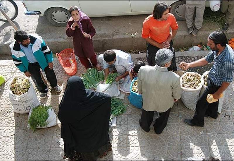 نامه‌ی غم‌انگیز بیلَهَر به جاوید بخت، مدیرکل منابع طبیعی کهگیلویه و بویراحمد؛ های بو، بی‌کَس و خُم