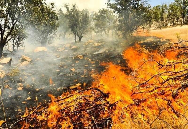 مراتع روستای«بهره عنا» باشت دچار حریق شد