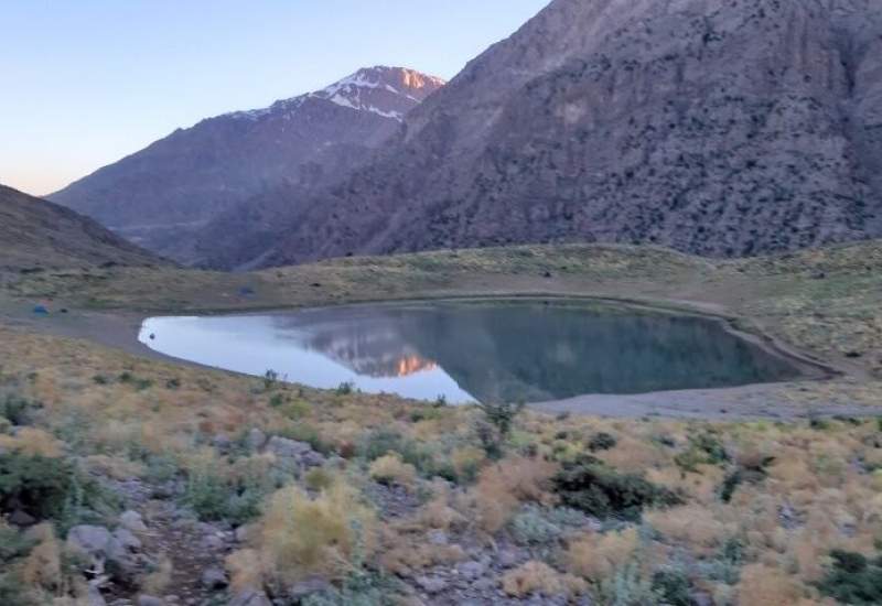 بلایی که بر سر دنای بی‌نظیر آوردند